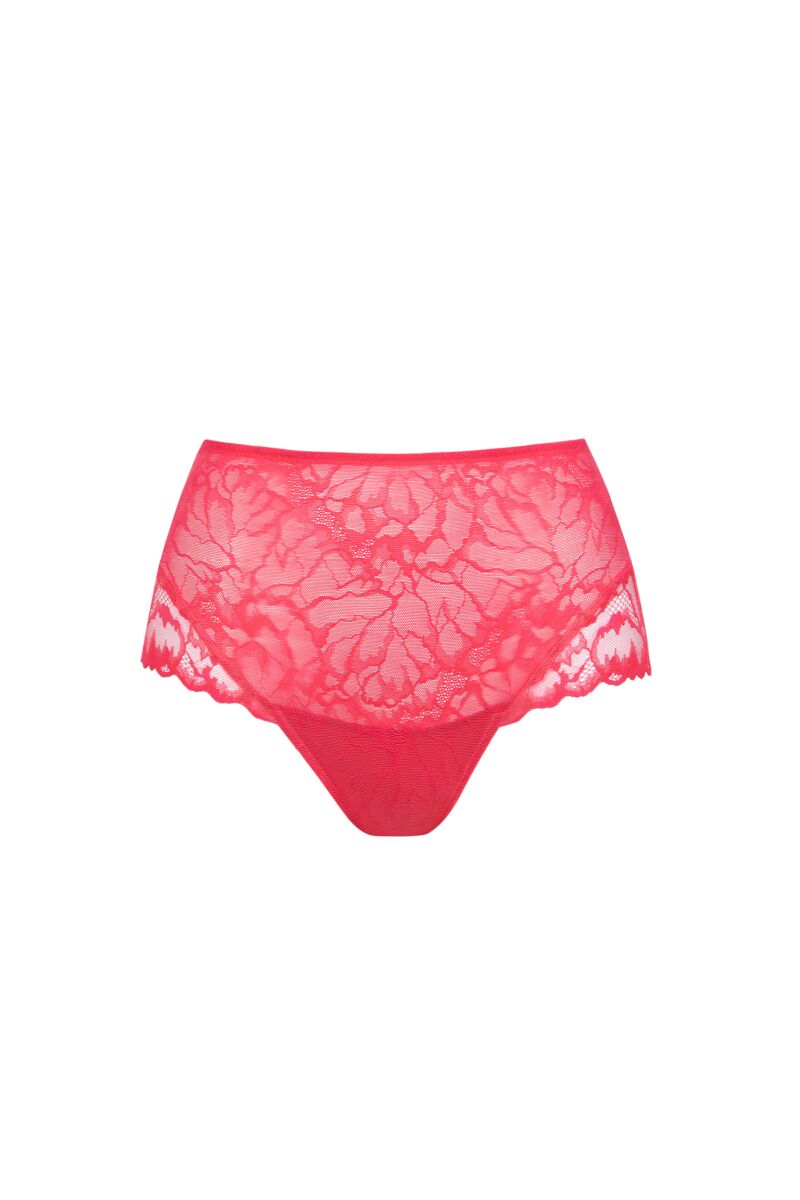 022312 NATY Briefs High